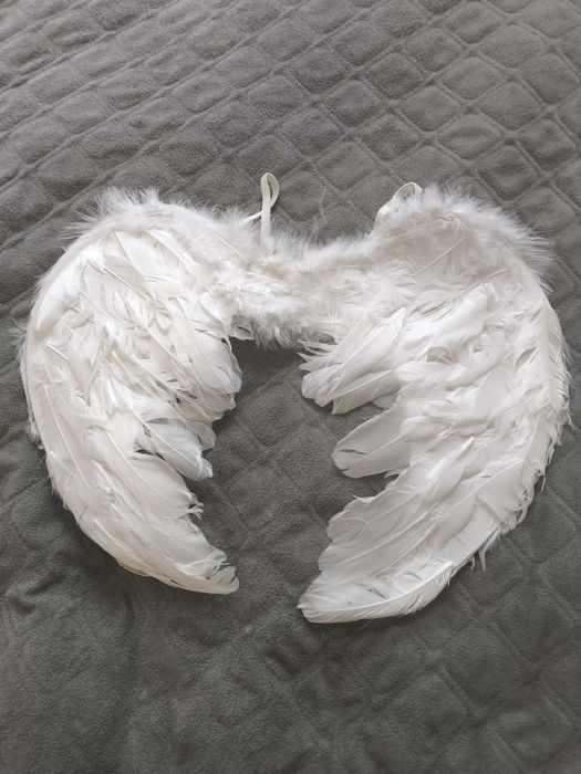 Крила маленького Ангела