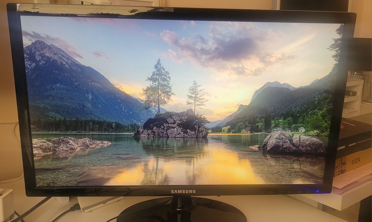 Monitor 24- Samsung LS24D330