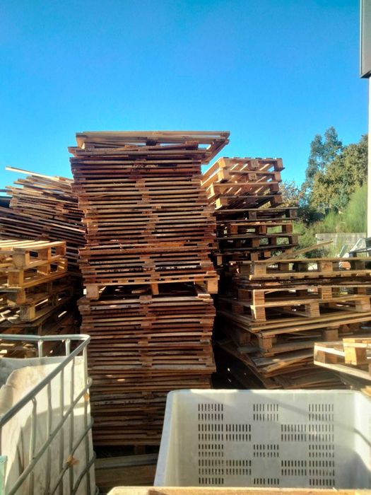 Paletes e madeira para desocupar