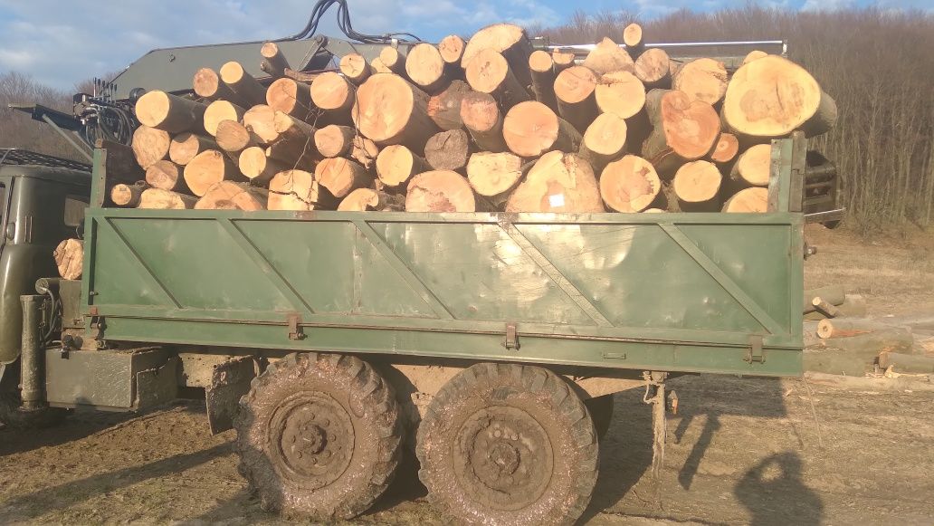 Продам дрова паливні твердої породи граб, бук, дуб червоний