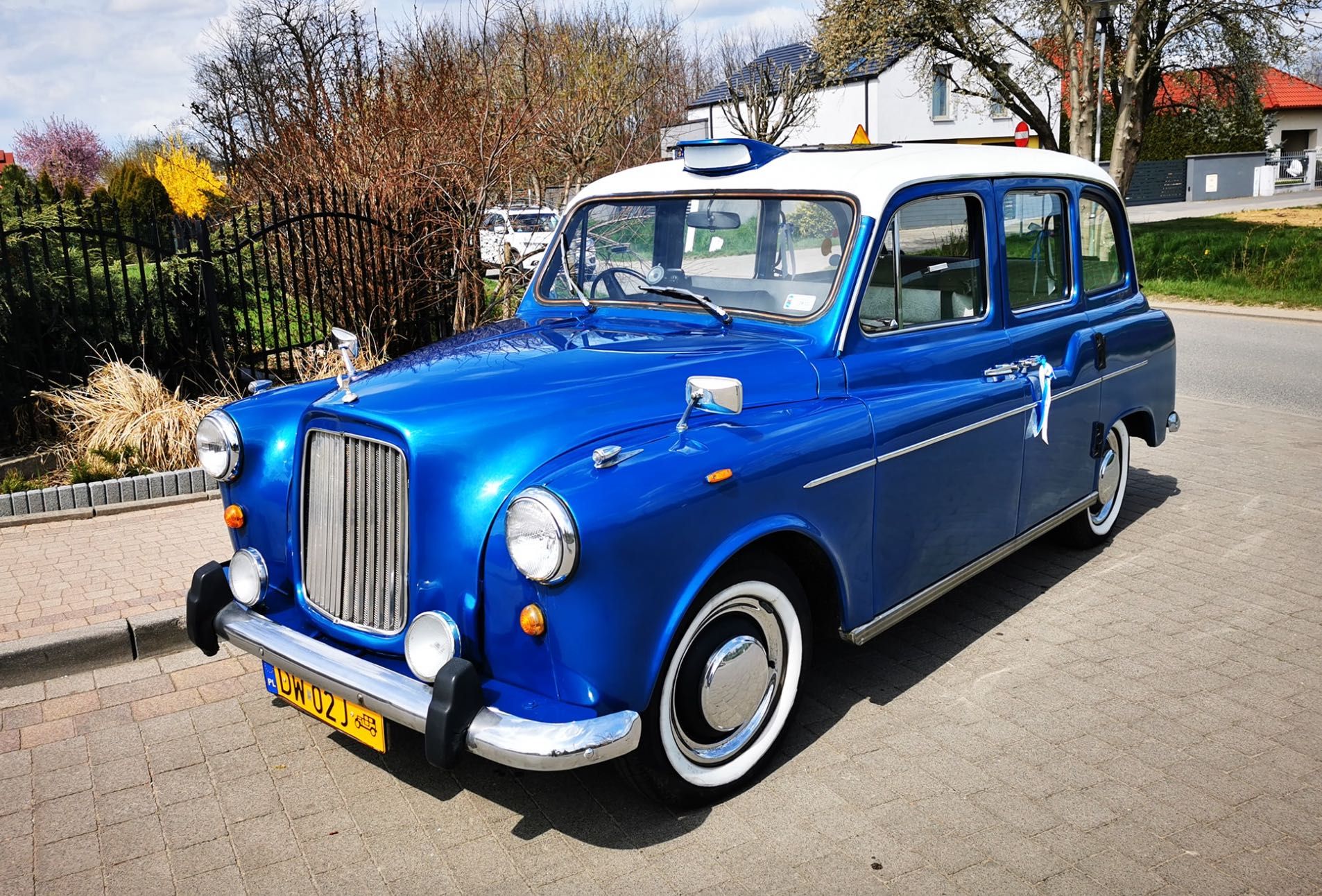 Blue London Taxi - zabytkowe auto do ślubu Lublin i okolice.