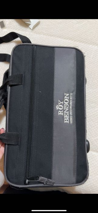 Clarinete Roy Benson CB-318