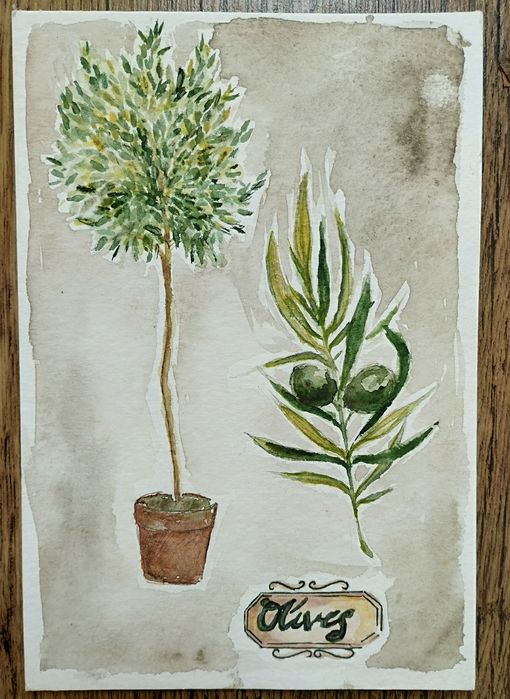Oryginalna akwarela/ ilustracja idealna do kuchni Oliwkowa
