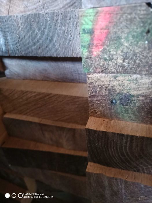 Kantówka dębowa dąb