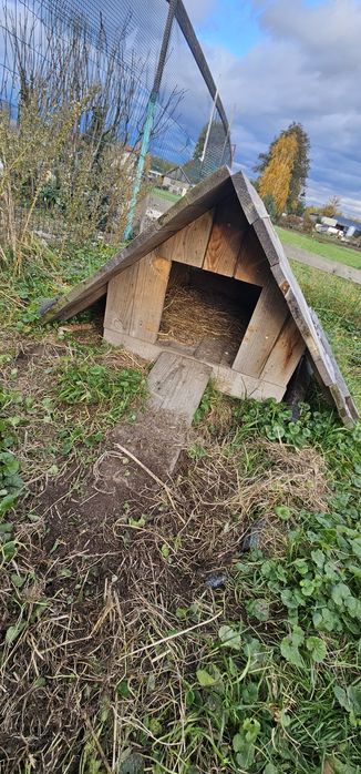 Kurnik / domek lęgowy