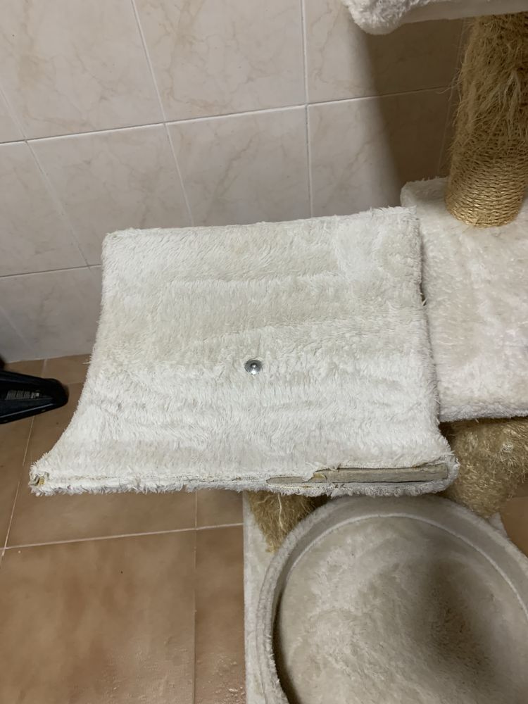 Arranhador gatos