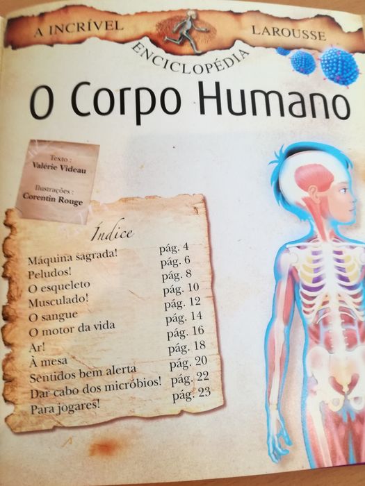 Livro didático infanto-juvenil "O Corpo Humano"