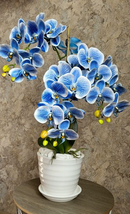Латексна орхідея