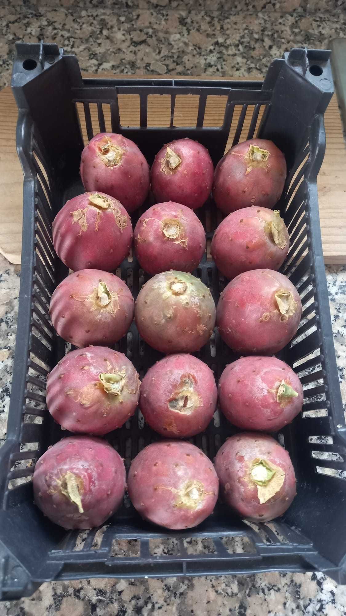 Figos da Índia polpa vermelha e laranja