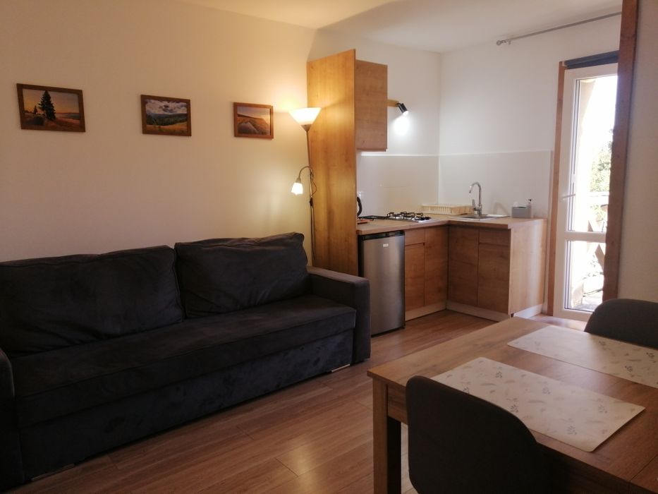 Apartament, pokoje gościnne przy lesie
