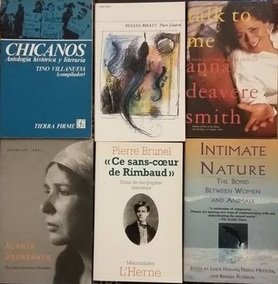 Literatura: Artaud/ Breytenbach/ Chatwin/ F. Capra/ Rimbaud/ Miller/