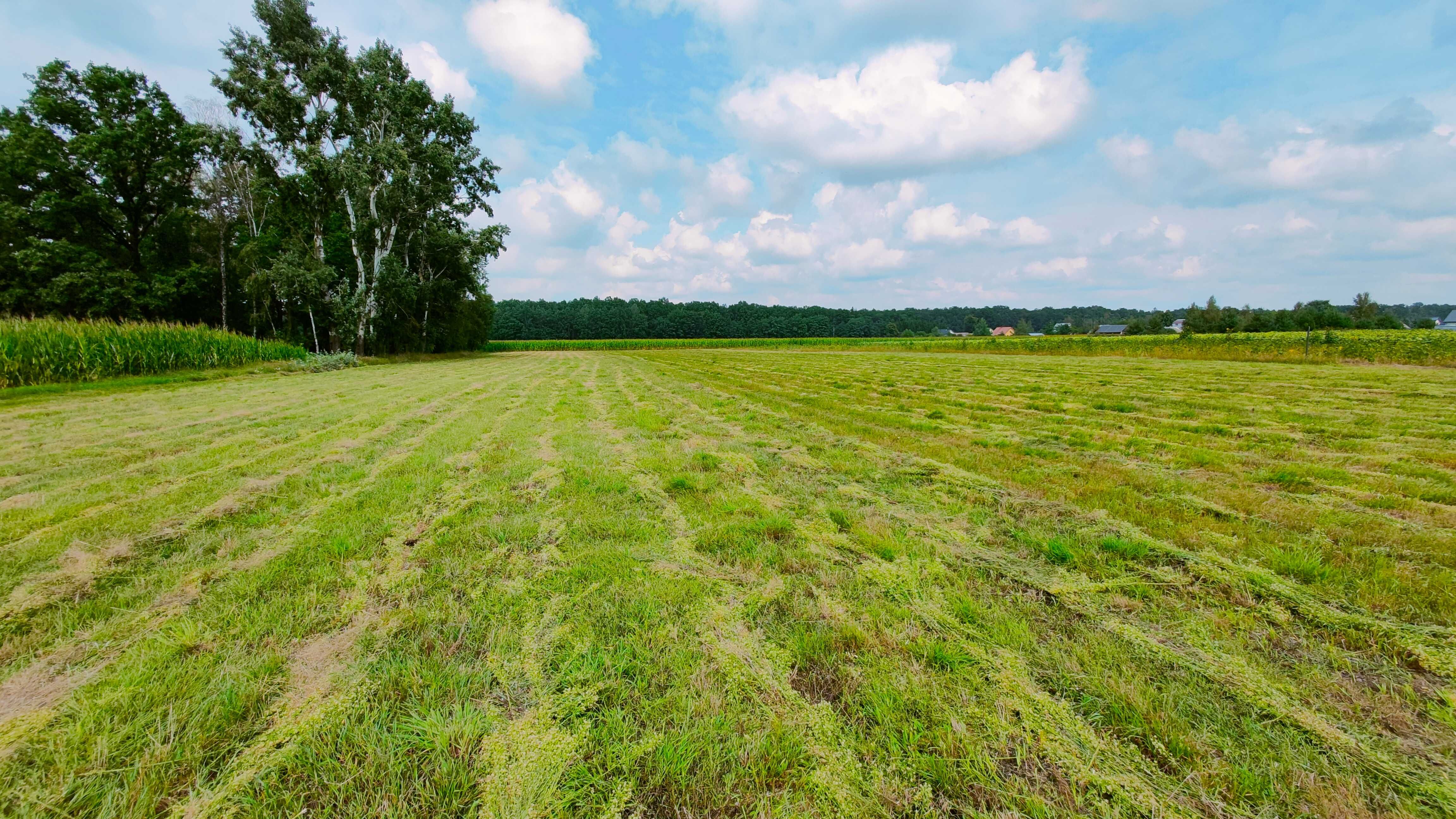 Działka Zahajki, gmina Drelów, Międzyrzec Podlaski