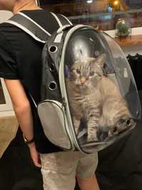 Transporter plecak torba transportowa dla kota psa