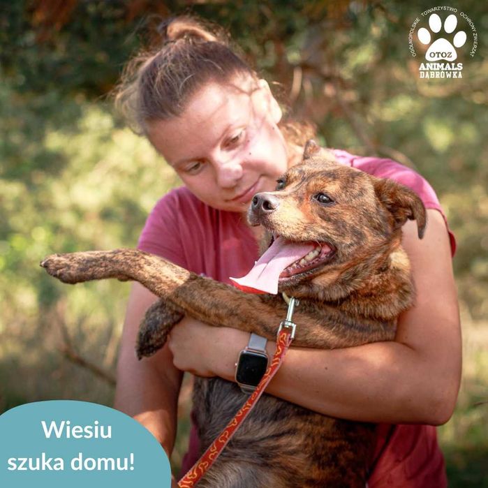 Wiesiu czeka na Ciebie