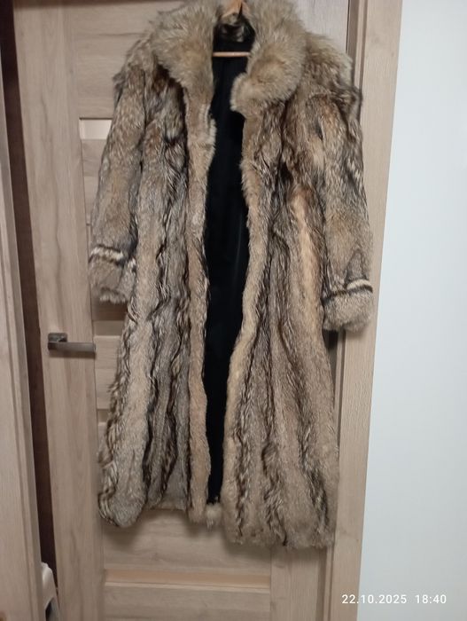 Futro z lisa pochodzi z Ameryki Południowej