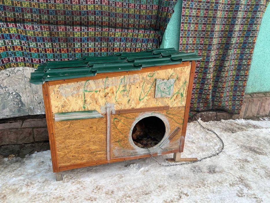 Будка для собаки / велика буда / можлива доставка