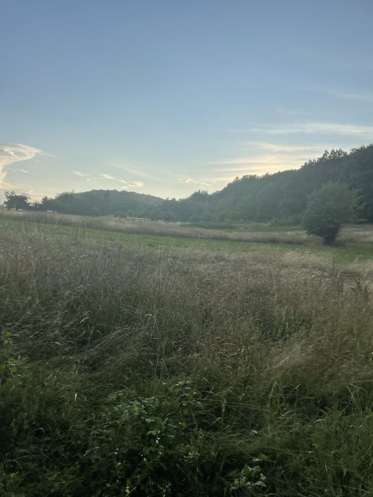 Земельна ділянка.