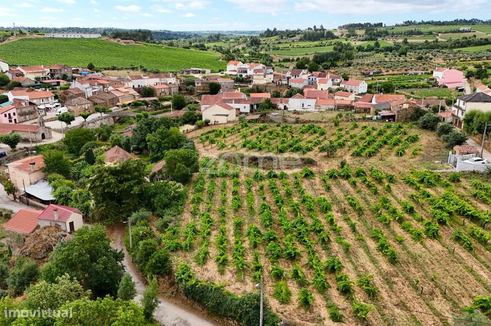 Vinha com 7000m2 localizada em Valbom, Pinhel