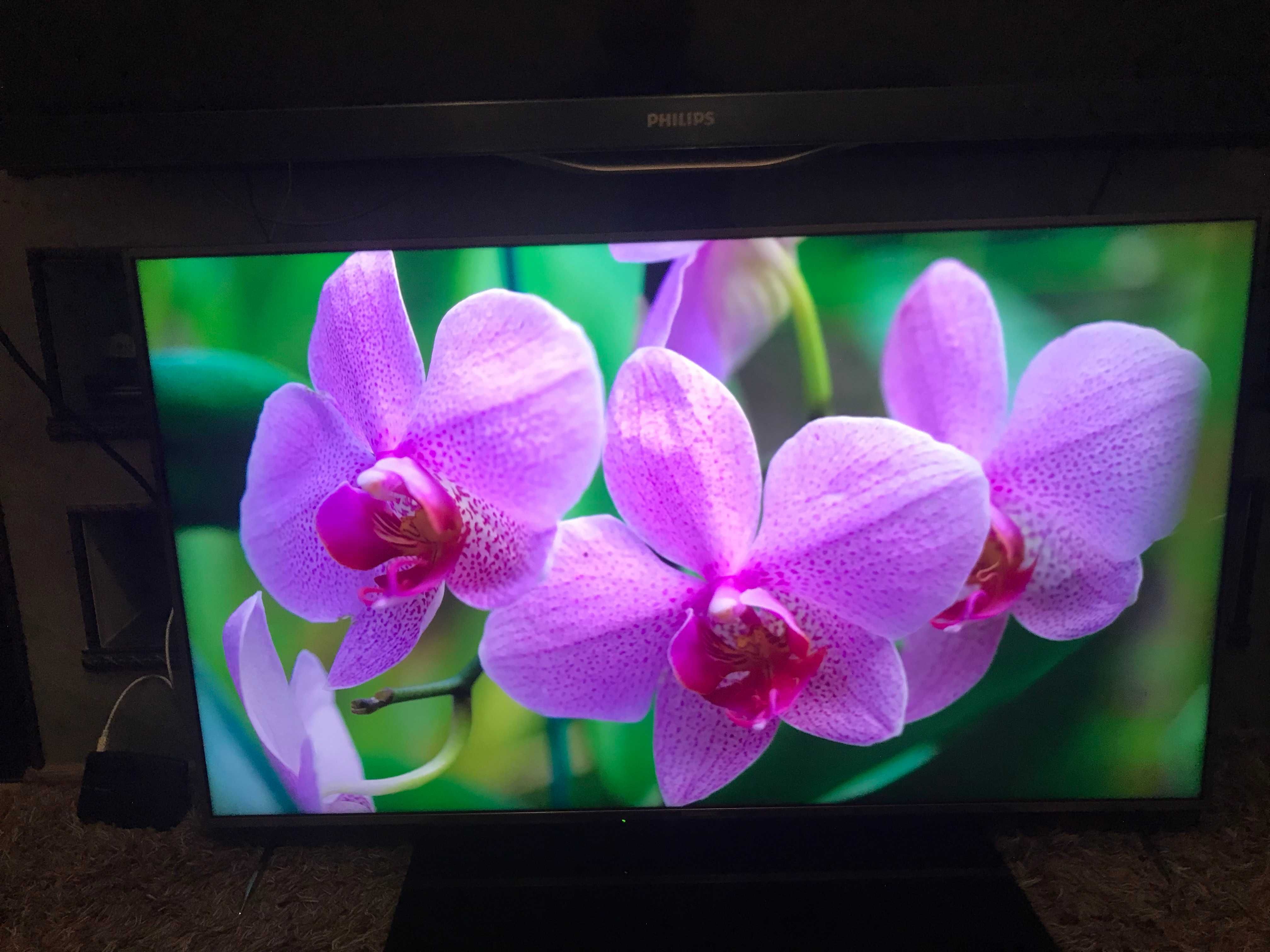 Panasonic TX-50CXW704, 50'', UHD, 4K, Smart, 100 Hz