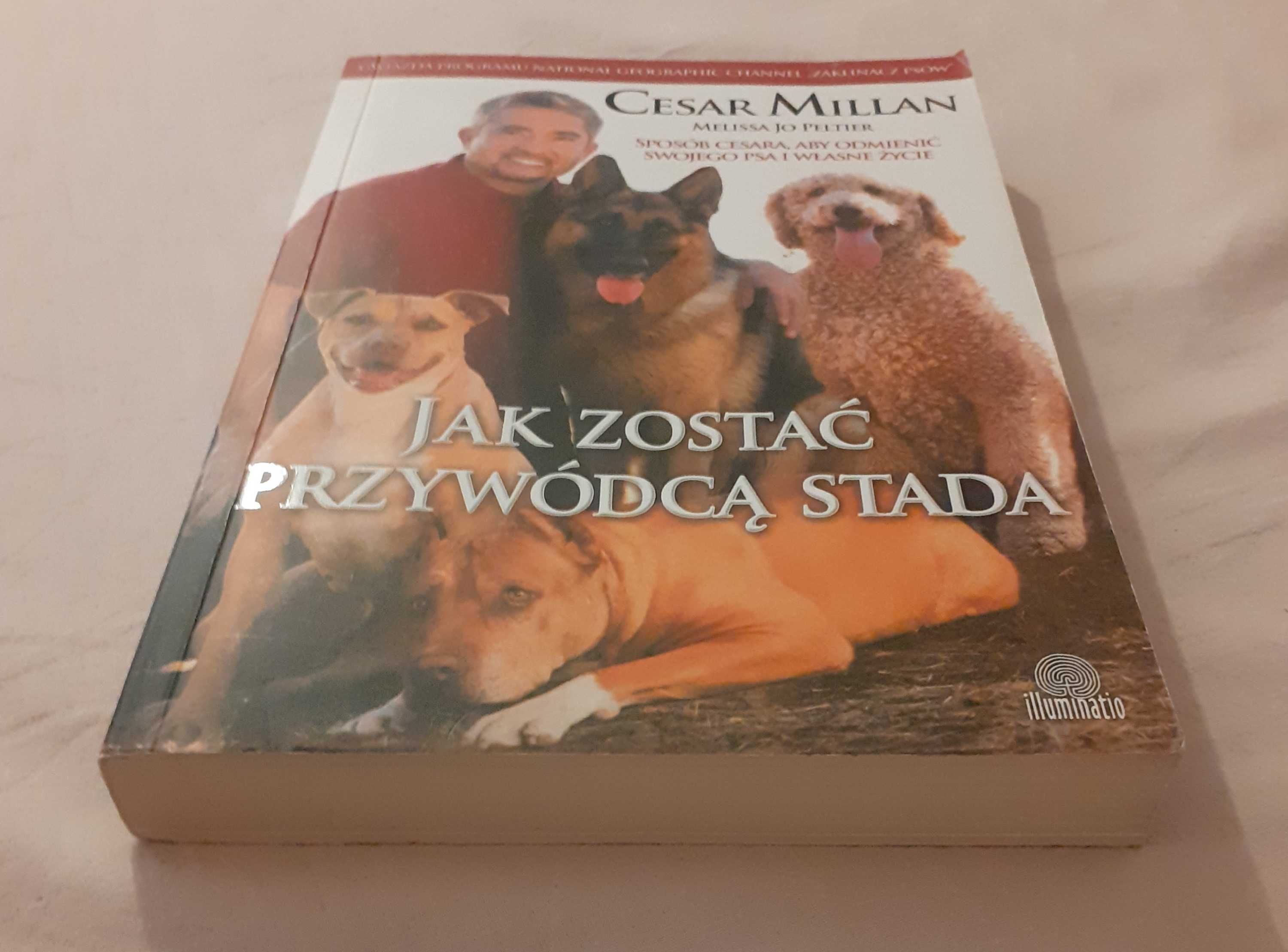 Jak zostać przywódcą stada Cesar Millan