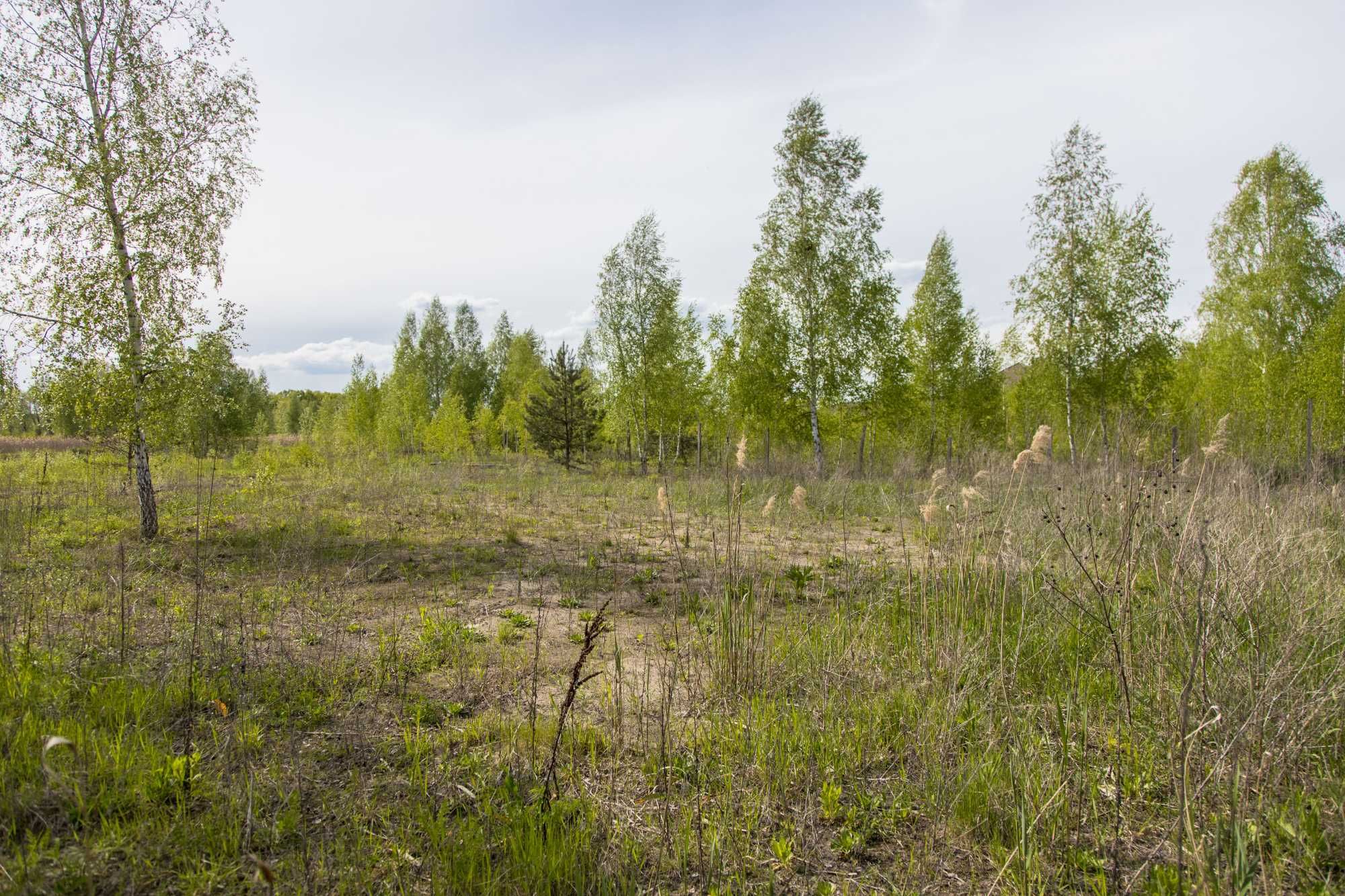 Земельна ділянка 8,37 сотих під забудову в Конча-Заспа. Без комісії