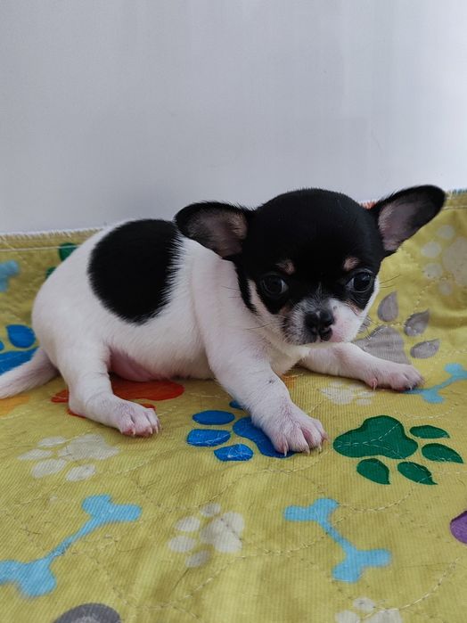 Кукляшная девочка