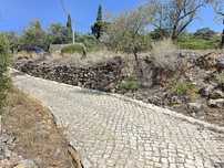 Terreno REN 640m2