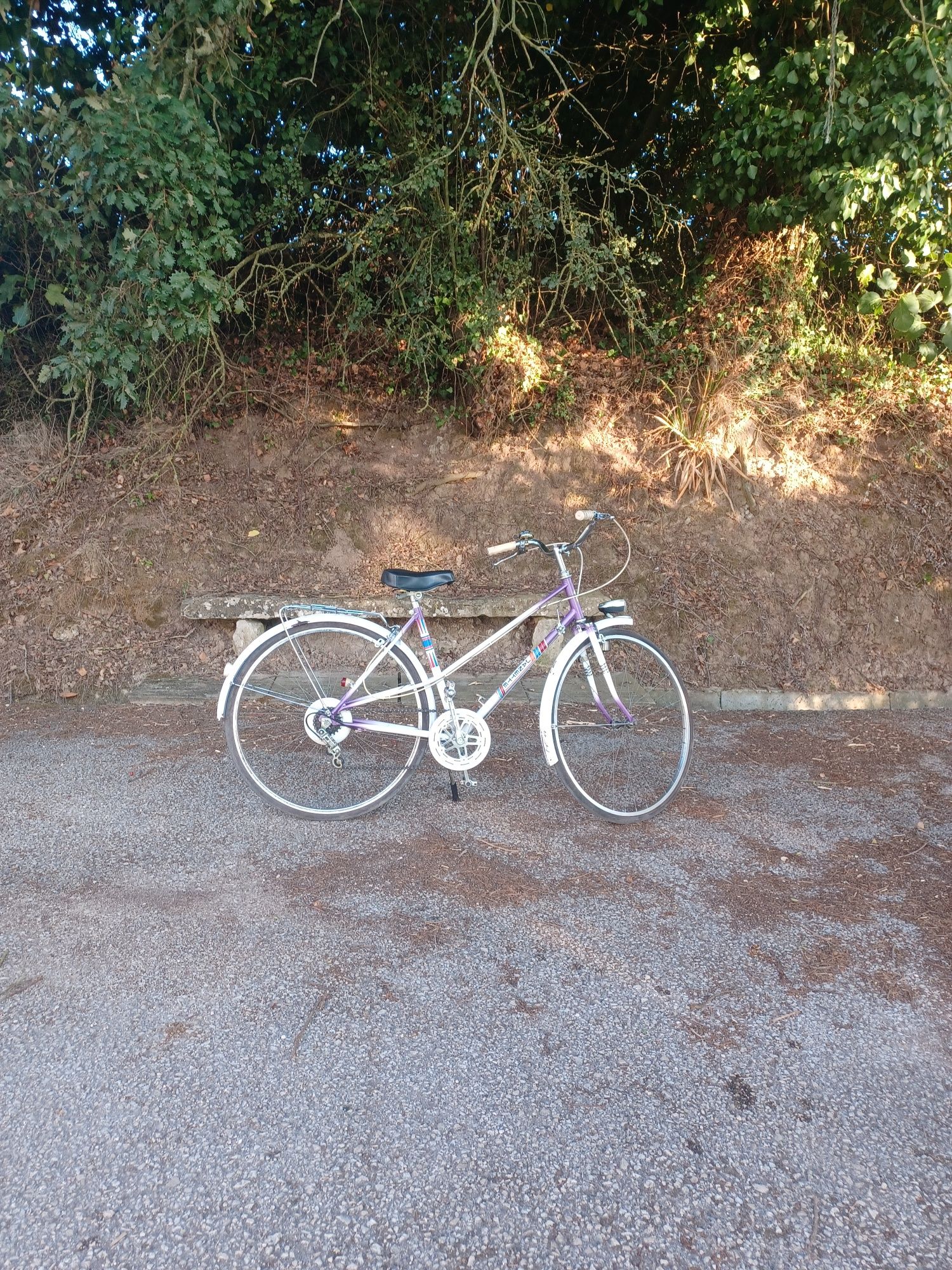 Bicicleta Janette