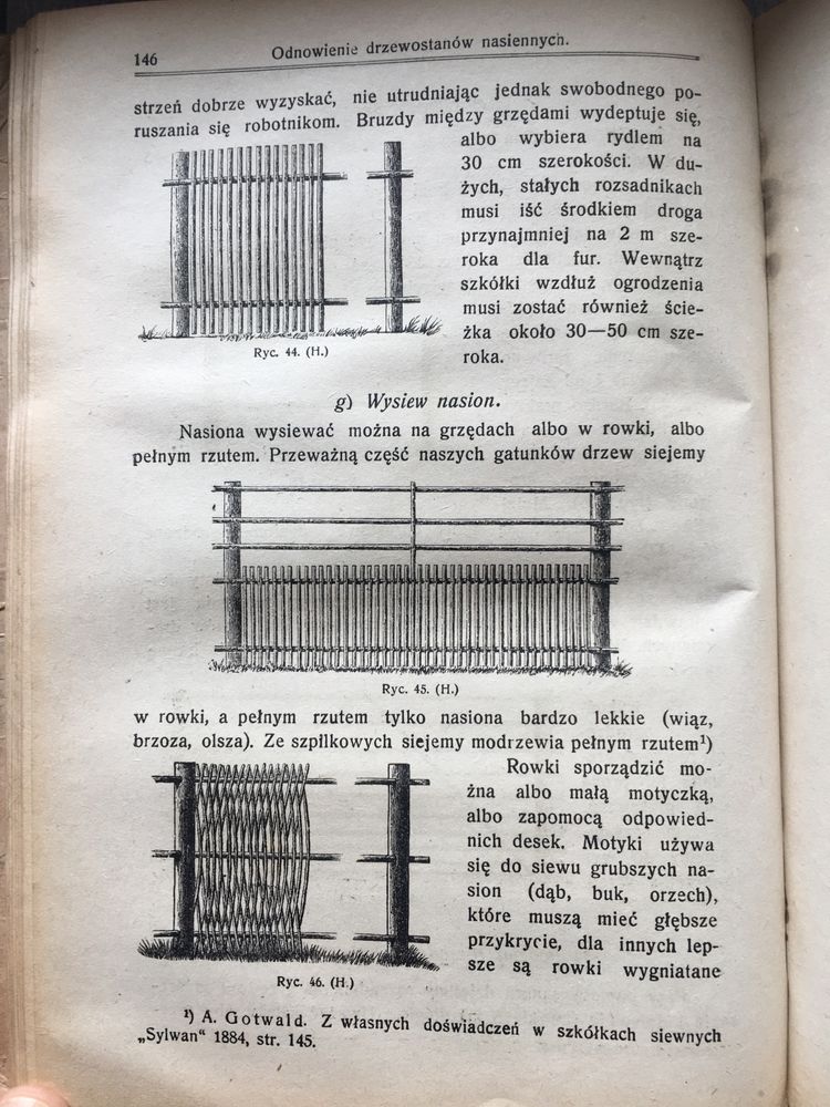 Hodowla lasu Sokołowski Lwów 1921 leśnictwo