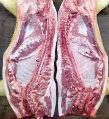 Тушка свині,половина,чверть.Можливий торг