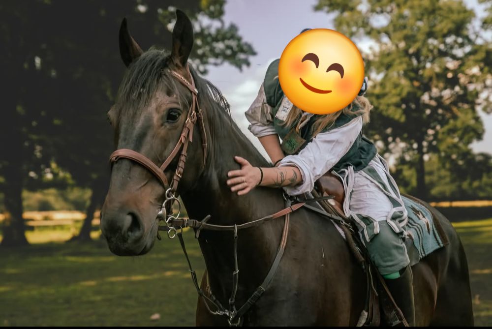 sprzedam wałacha. 10 lat