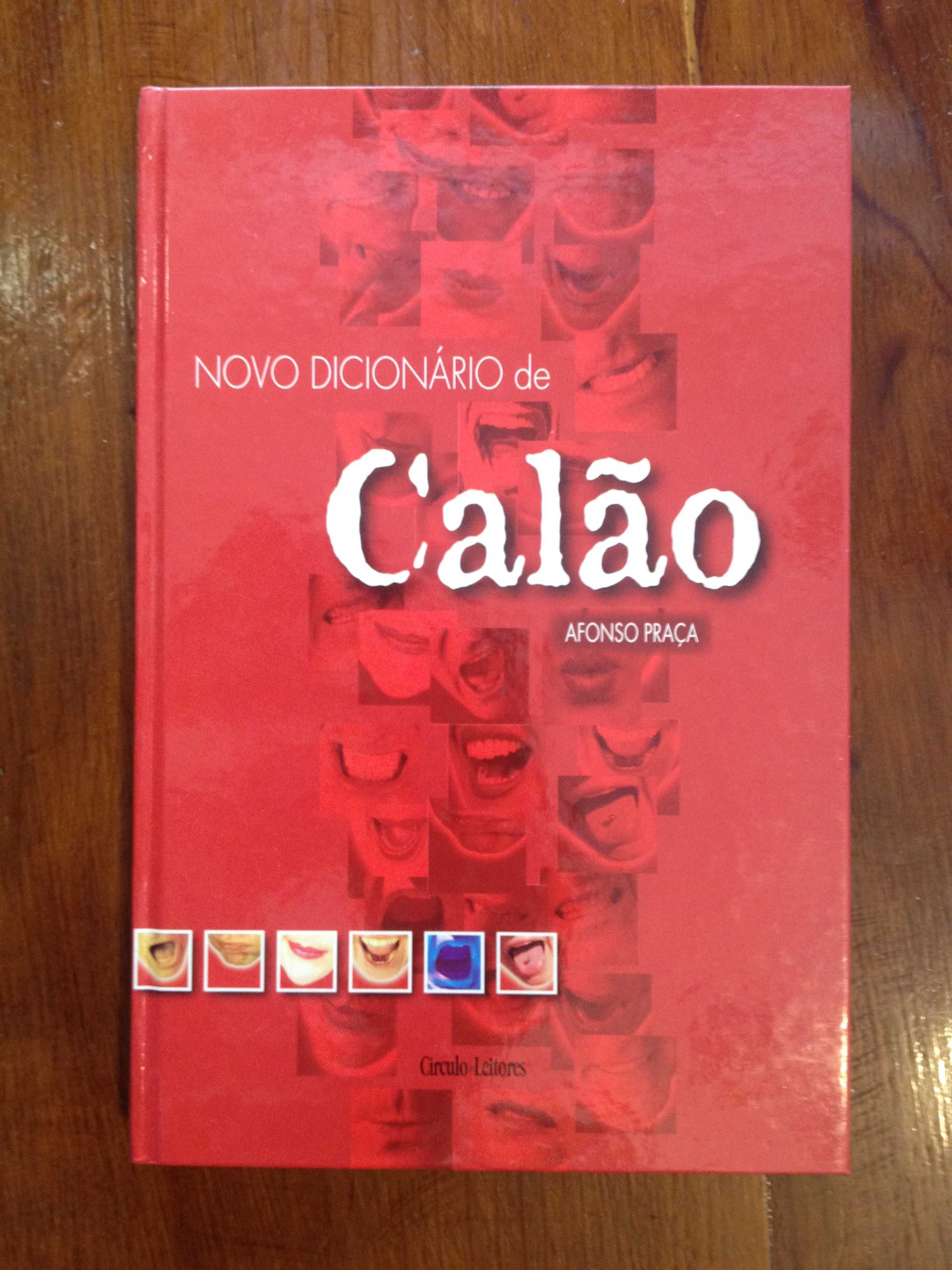 Afonso Praça - Novo dicionário de calão