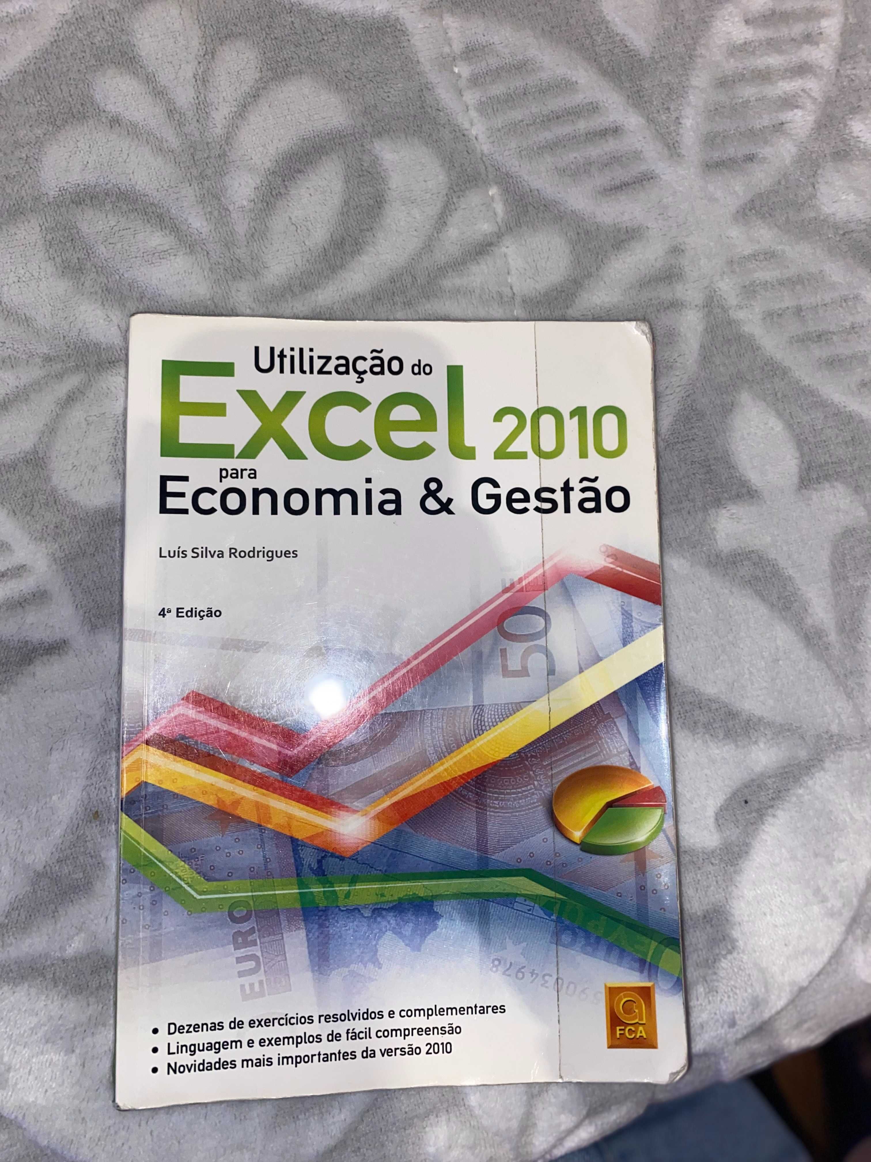 Excel 2010 para Economia e Gestão
