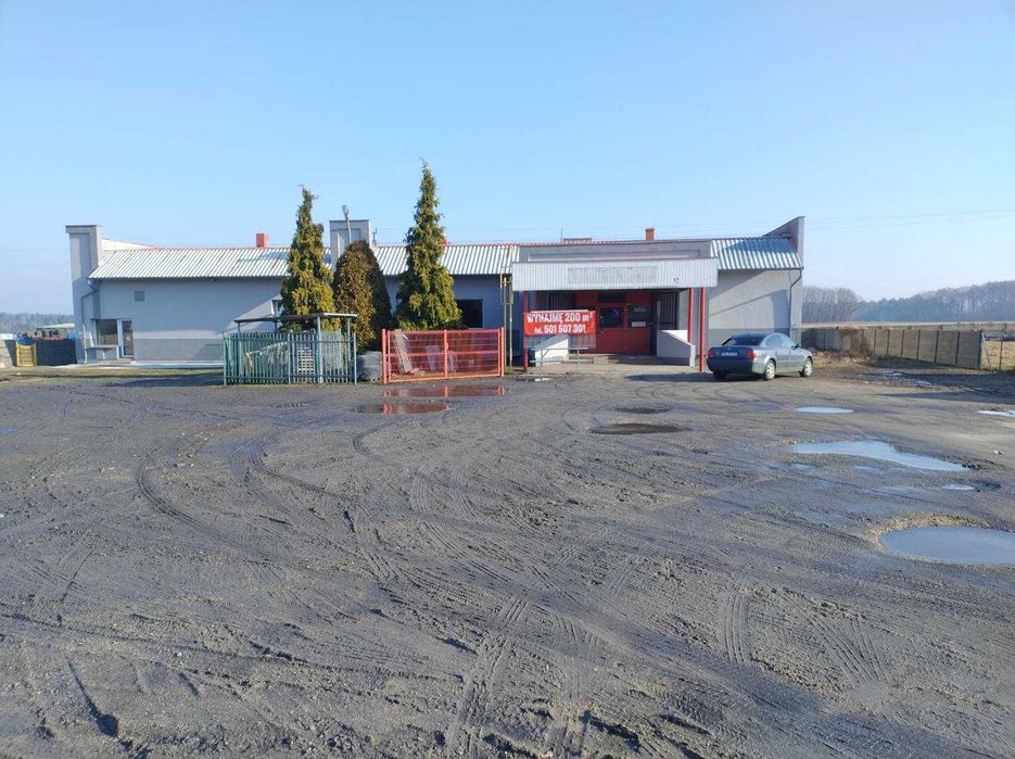 Lokal usługowo-handlowy 200m2 + plac 1000m2  - Pleszew, Zielona Łąka