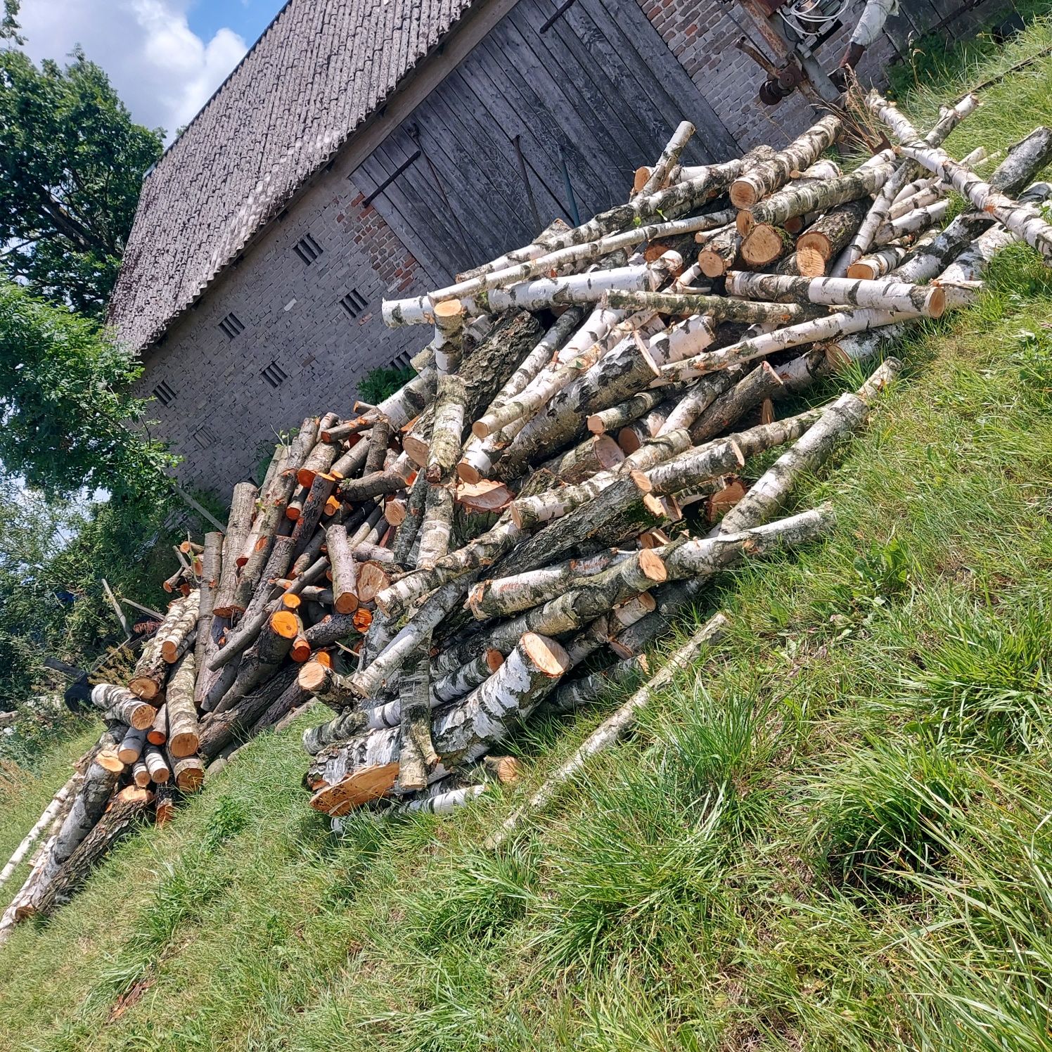 Drzewo opałowe..