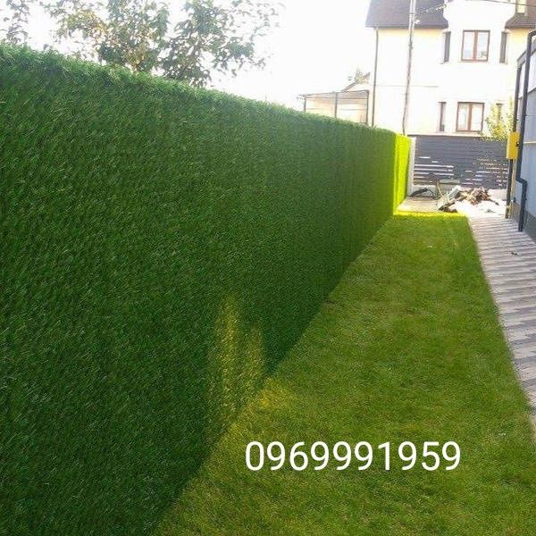 Декоративний зелений паркан