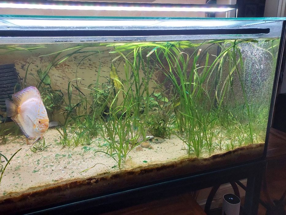 Aquario 120x50x50cm completo para venda