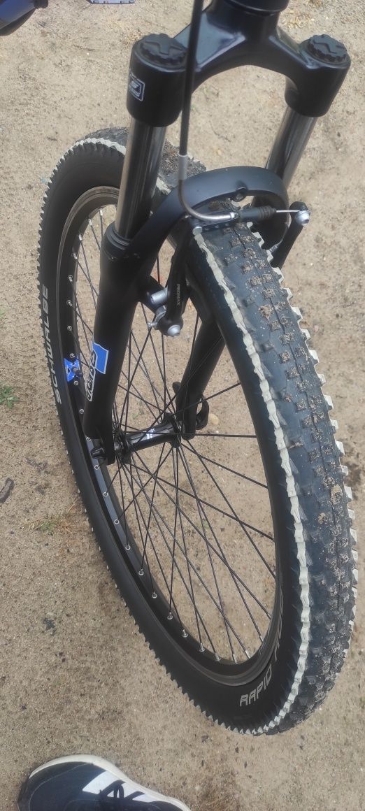 Rower MTB serious