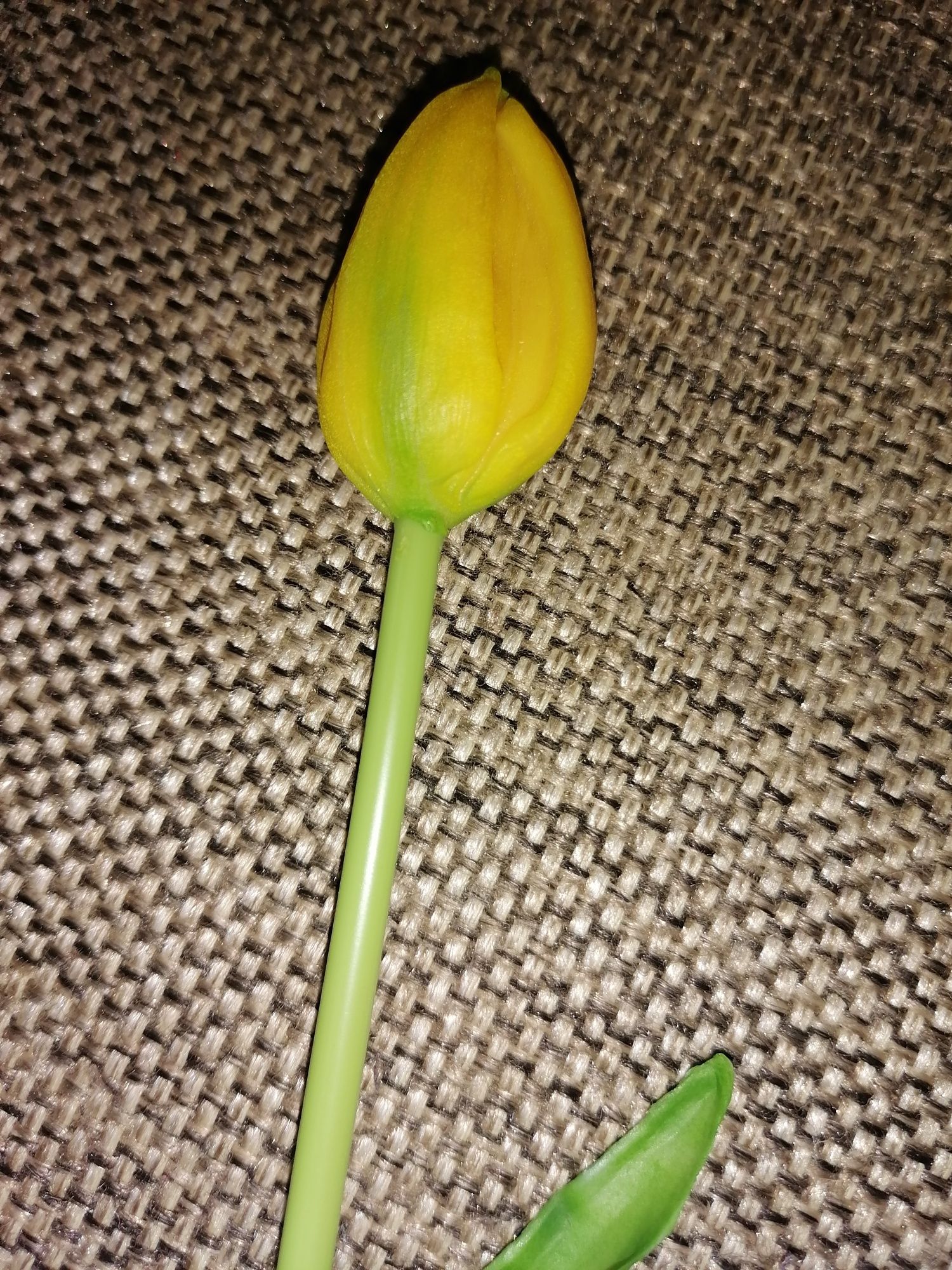 Tulipany silikonowe 7 sztuk