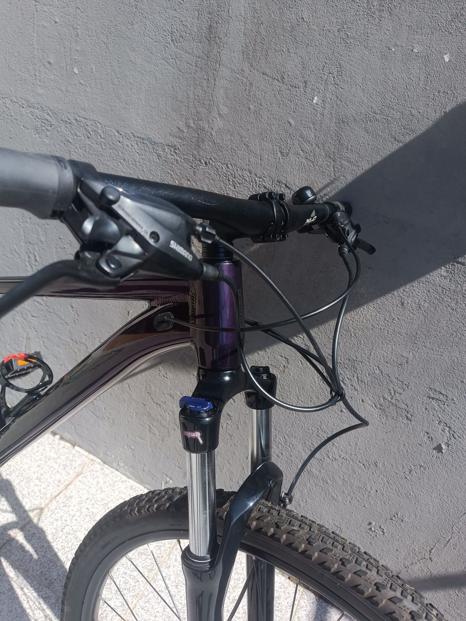 Bicicleta roda 29