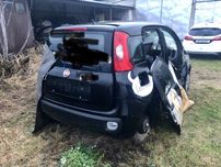 Panda III CZĘŚCI, słupek, ćwiartka