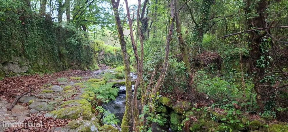 Casa em Pedra para Reconstrução – Uma Oportunidade Única no Paraíso do