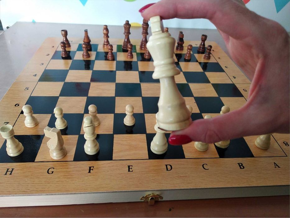 Шахматы. Нарды. Шашки. 3 в 1 +Подарок.