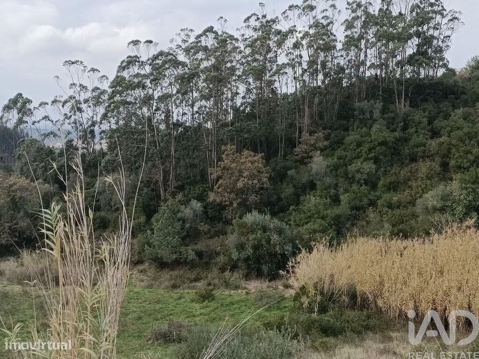 Terreno em Vila Verde dos Francos de 2520,00 m2