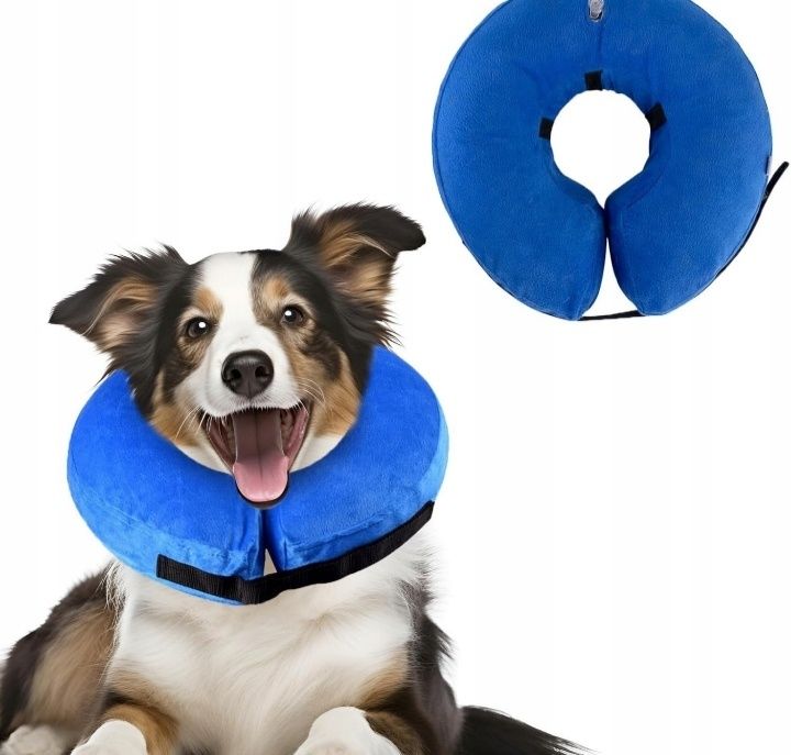 Kołnierz ortopedyczny pooperacyjny S M L dmuchany dla psa kota orteza