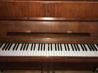 Pianino Calisia brązowe