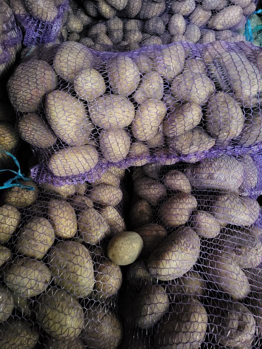 Продам картоплю дуже смачна, ДОСТАВКА. БЕЗ ХІМІКАТІВ бульба картофель