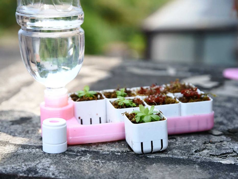 Taca do Wysiewu z Nawadnianiem! –Twój Domowy Ogród 3D Bez Wysiłku!