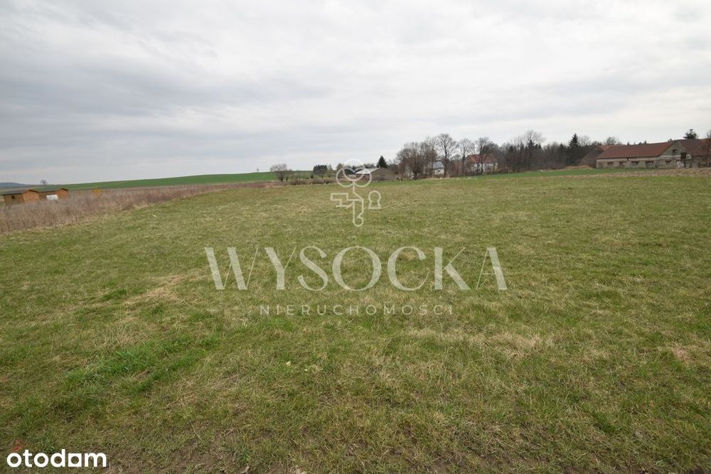 Działka budowlana 19 arów w Owieśnie