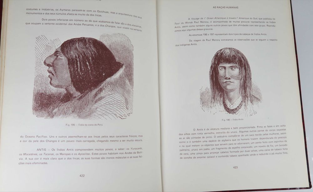 Coleção Raças Humanas - 3 Volumes